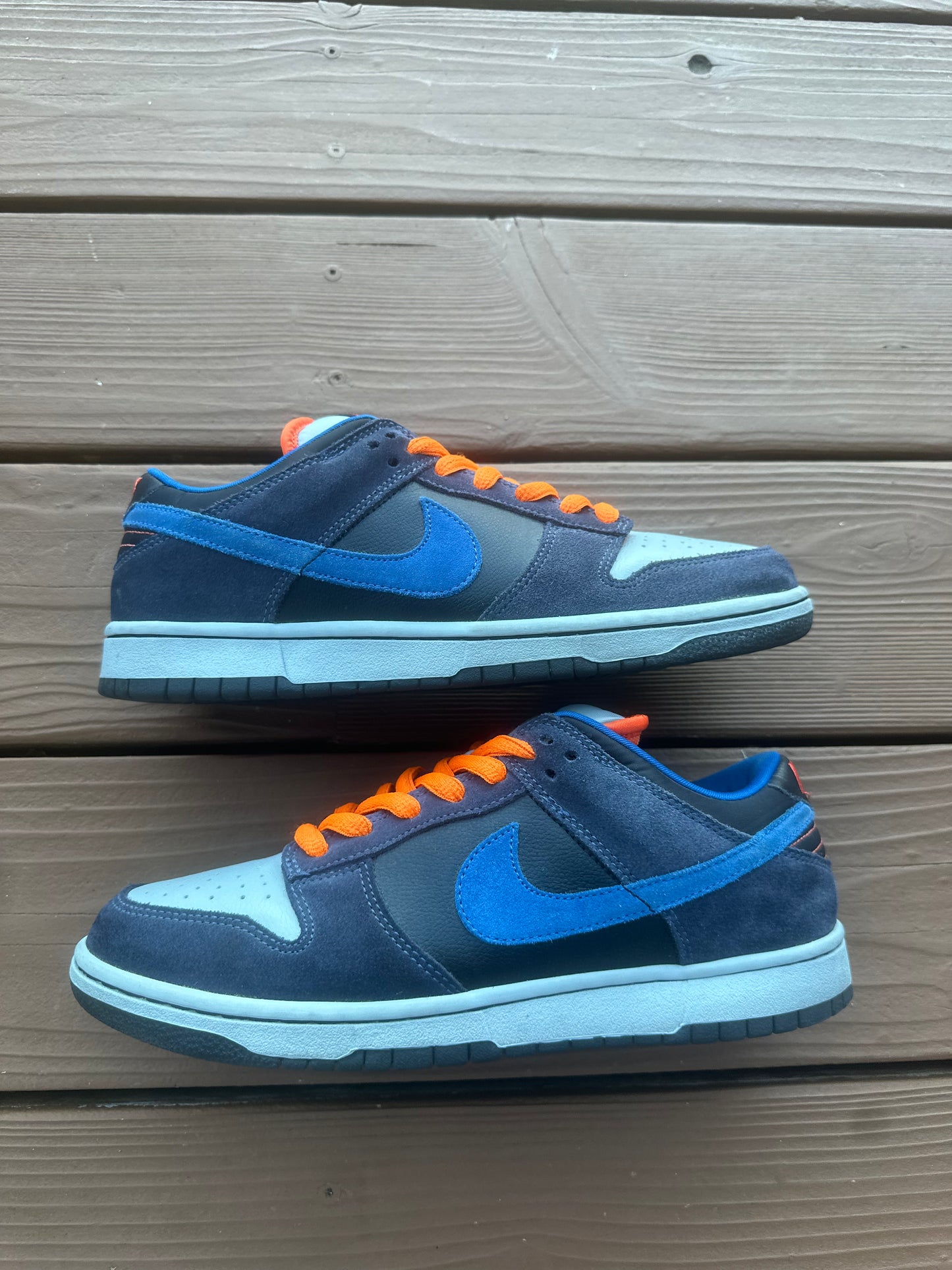 Size 9 - Nike Dunk Low Pro SB Patagonia