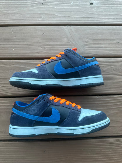 Size 9 - Nike Dunk Low Pro SB Patagonia