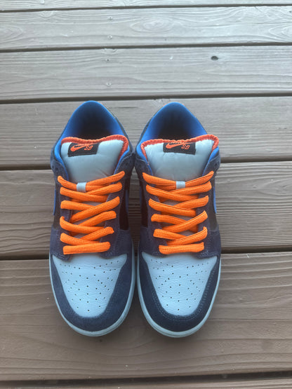 Size 9 - Nike Dunk Low Pro SB Patagonia