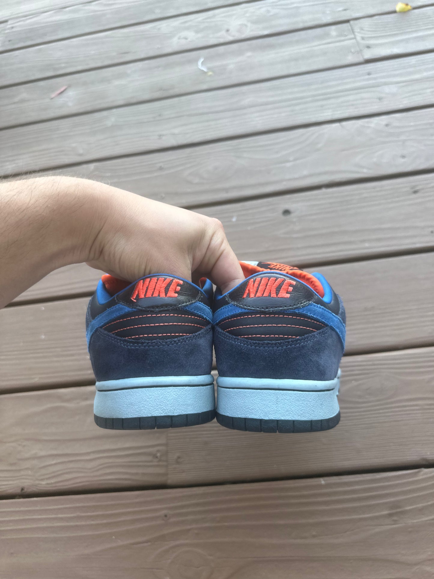 Size 9 - Nike Dunk Low Pro SB Patagonia