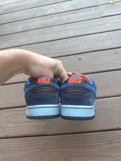 Size 9 - Nike Dunk Low Pro SB Patagonia