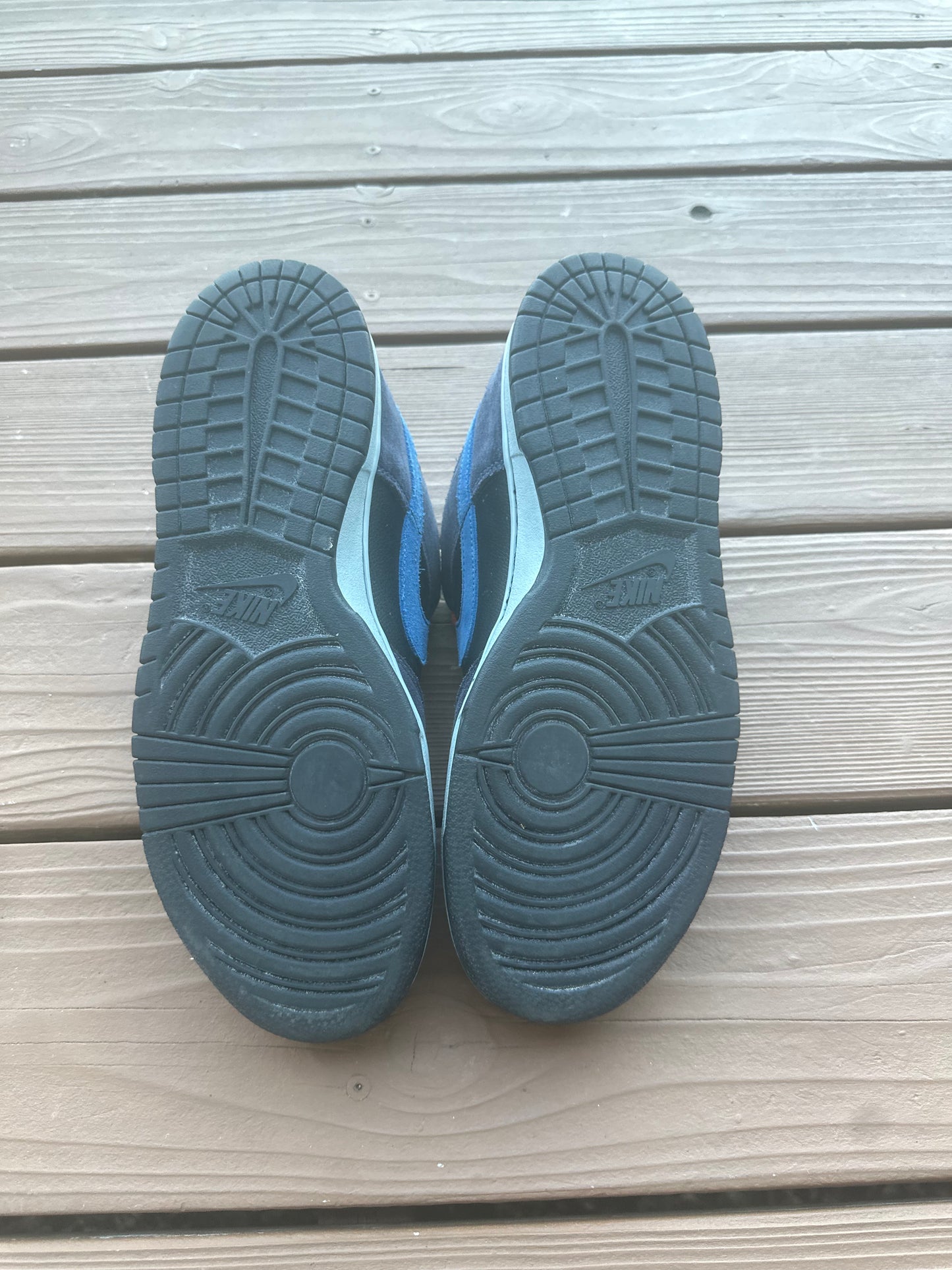 Size 9 - Nike Dunk Low Pro SB Patagonia