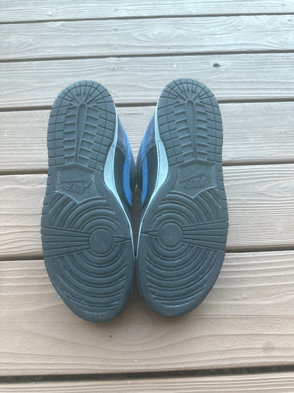 Size 9 - Nike Dunk Low Pro SB Patagonia