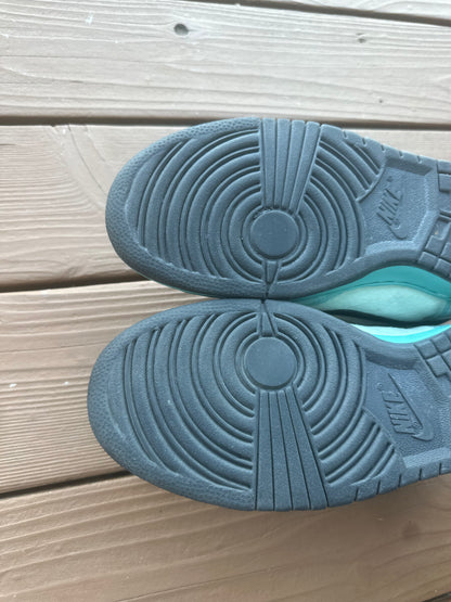 Size 9.5 - Nike Dunk High Pro SB Sea Crystal