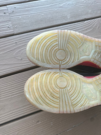 Size 9 - Nike Dunk Low Premium SB Hawaii