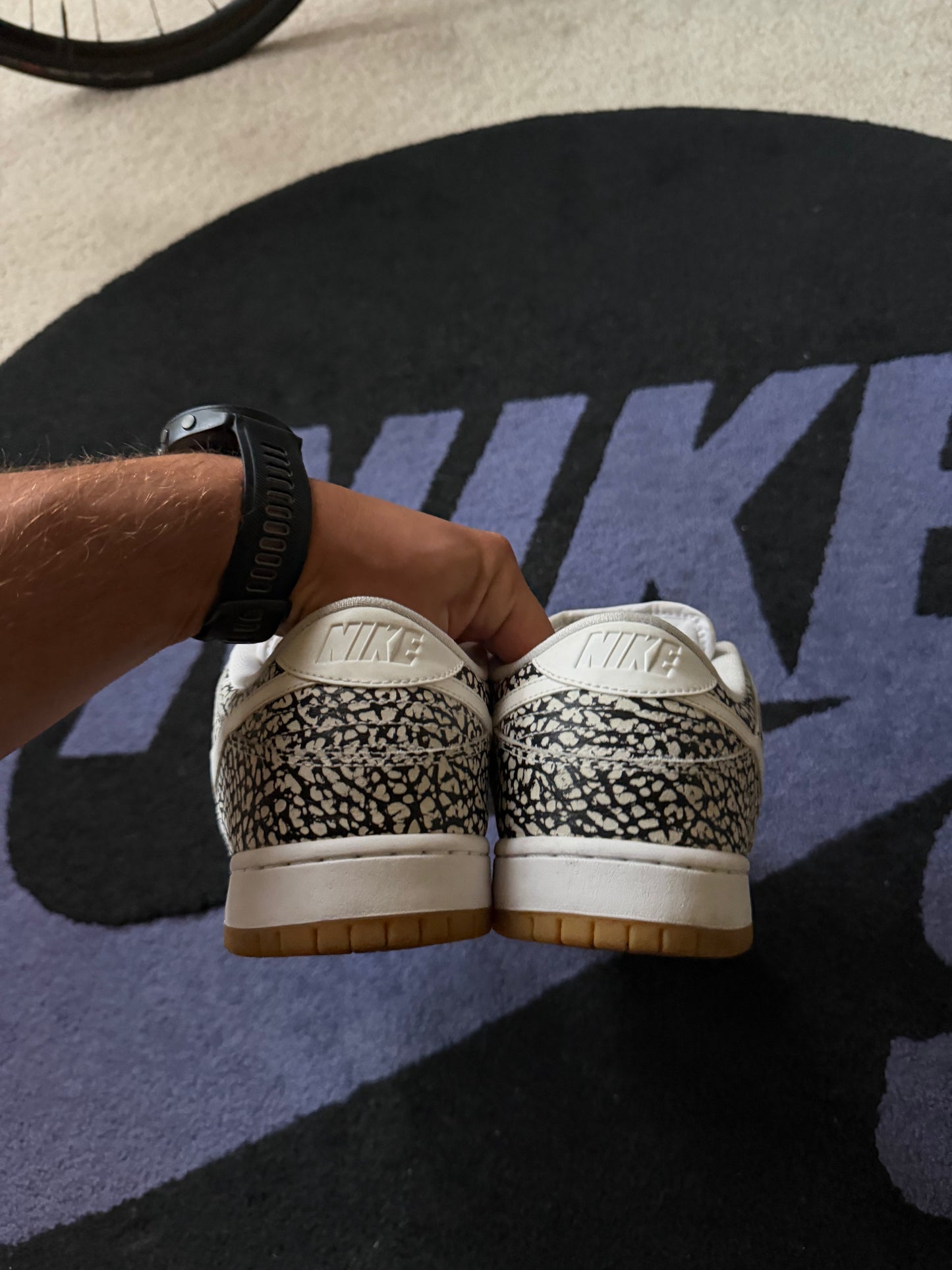 Size 10.5 - Nike Dunk Low Pro SB Road