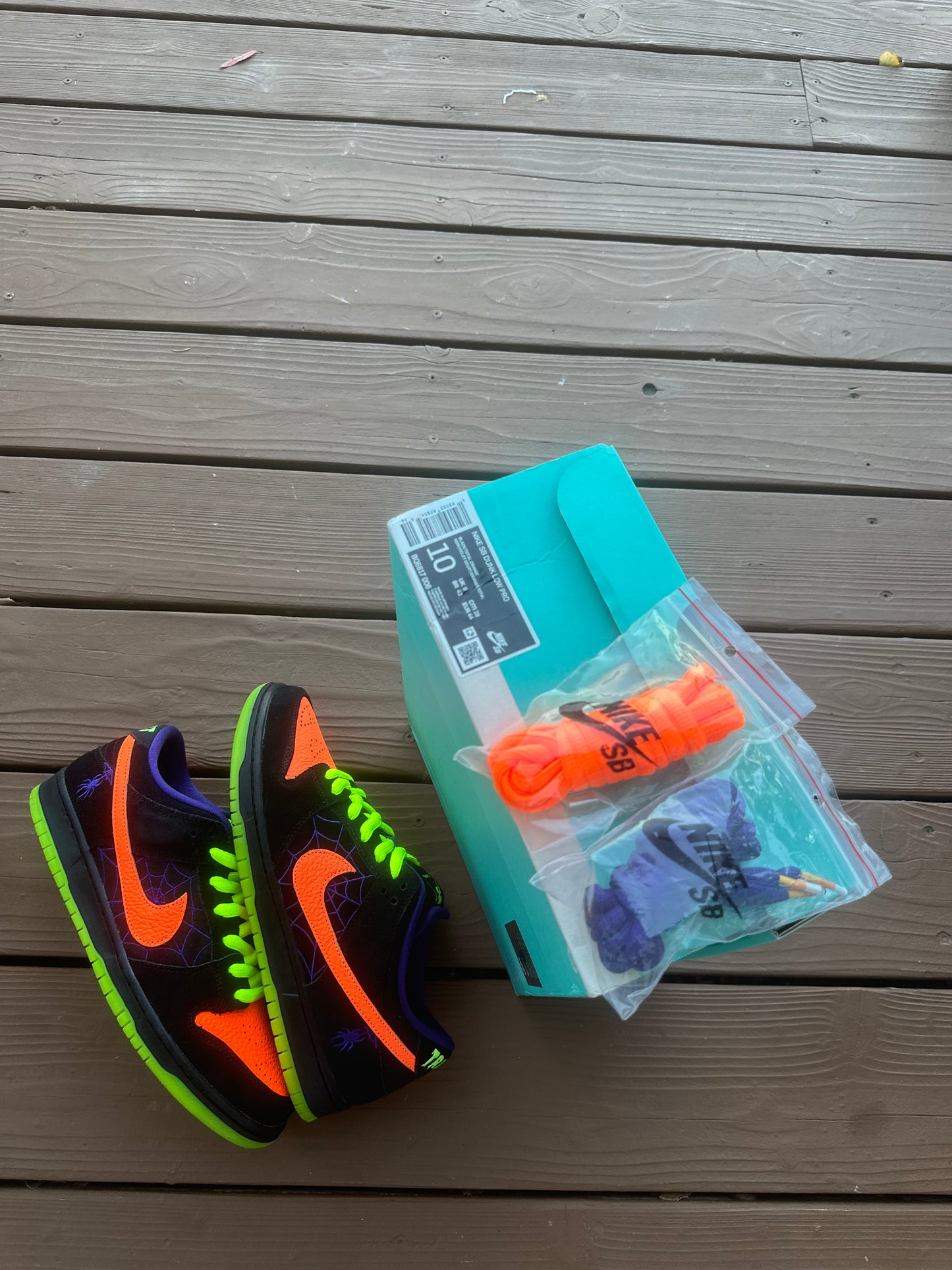 Size 10 - Nike Dunk Low Pro SB Night of Mischief