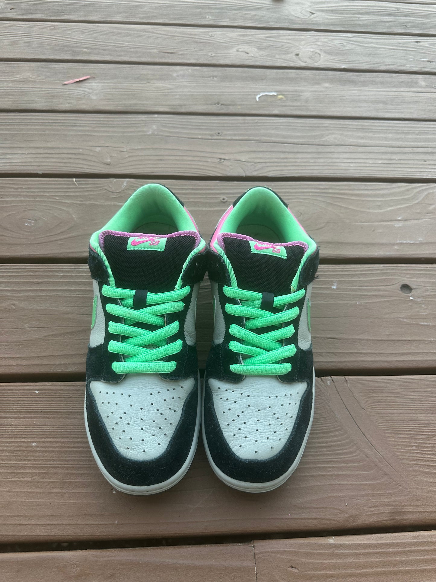 Size 10 - Nike Dunk Low Pro SB Poison