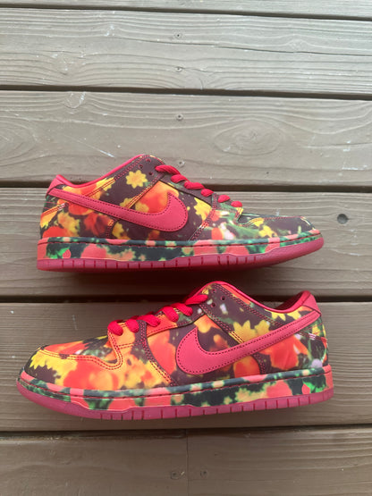 Size 11 - The Wizard of Oz x Dunk Low SB 'Poppy Field'