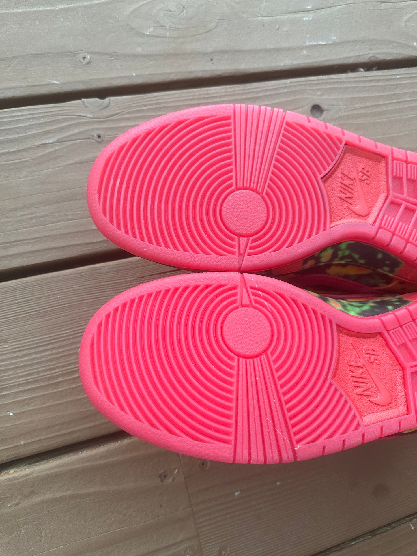 Size 11 - The Wizard of Oz x Dunk Low SB 'Poppy Field'