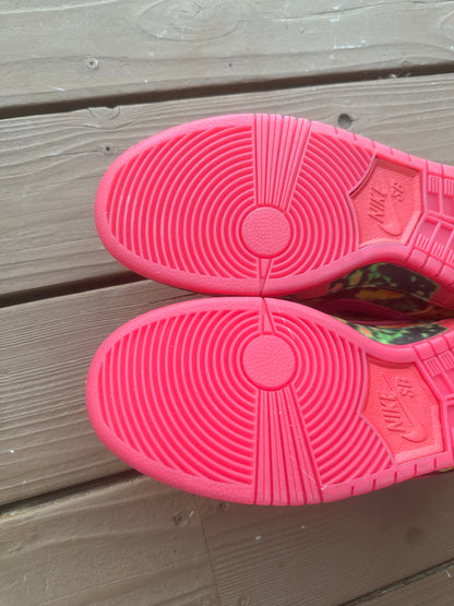 Size 11 - The Wizard of Oz x Dunk Low SB 'Poppy Field'