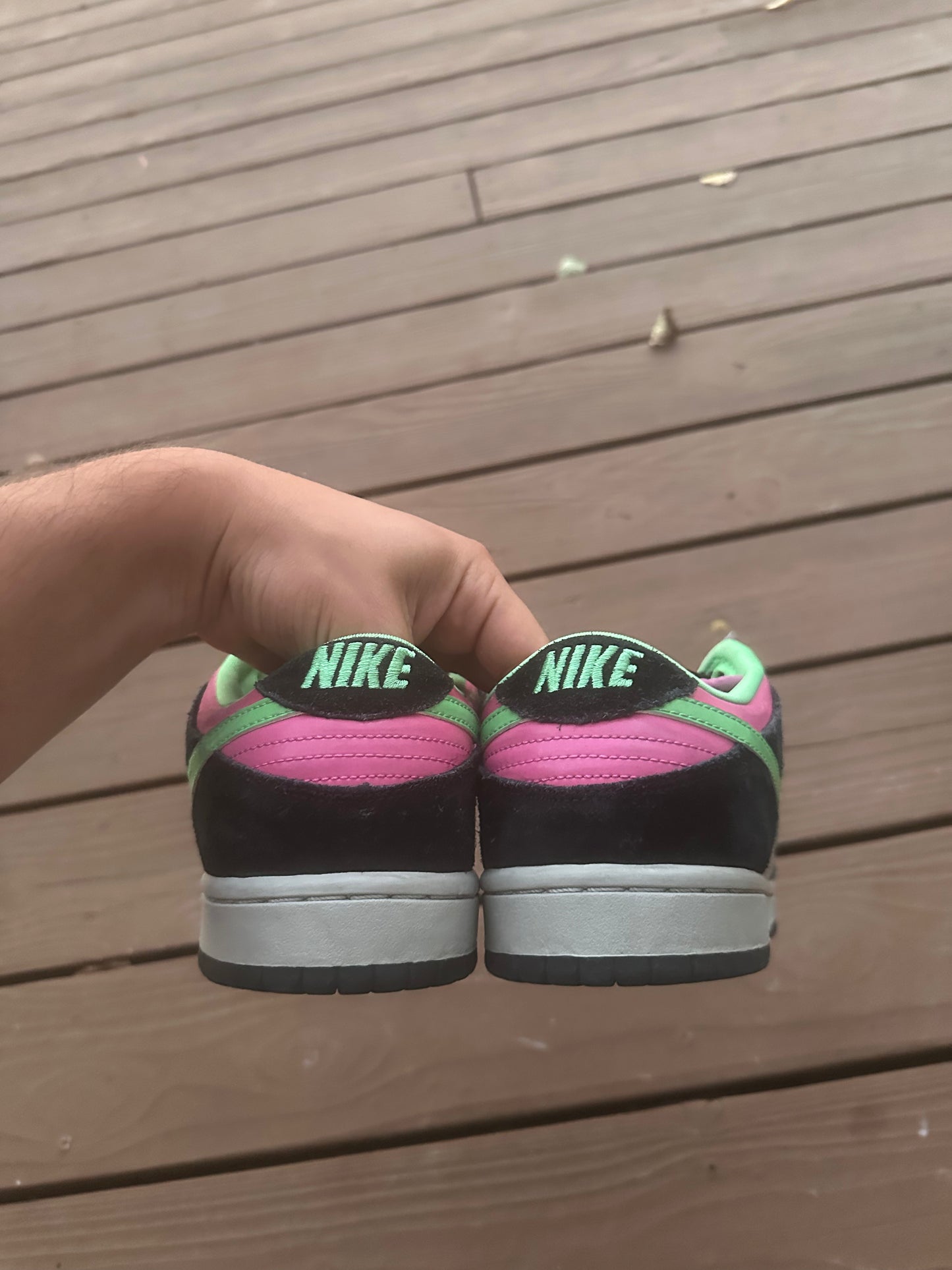 Size 10 - Nike Dunk Low Pro SB Poison