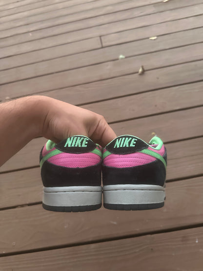 Size 10 - Nike Dunk Low Pro SB Poison