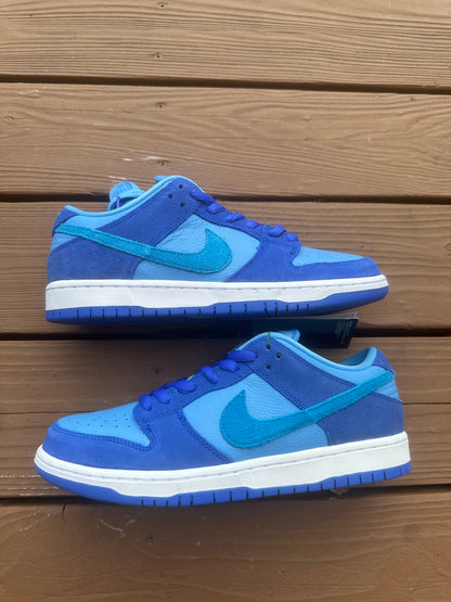 Size 9.5 - Nike SB Dunk Low Pro Blue Raspberry