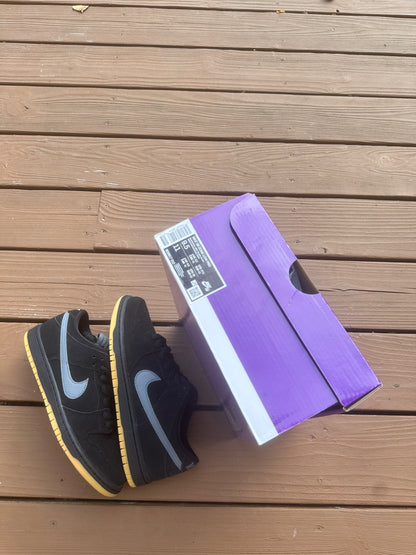 Size 9.5 - Nike SB Dunk Low Pro Fog