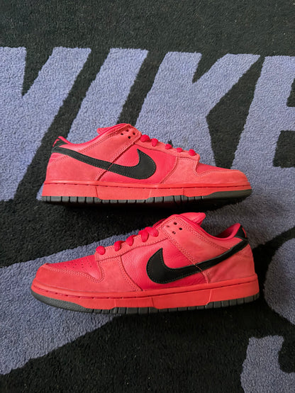 Size 9.5 - Nike Dunk Low Pro SB True Red