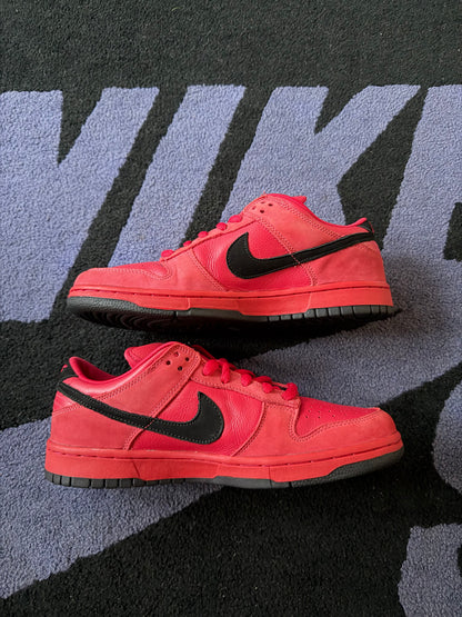 Size 9.5 - Nike Dunk Low Pro SB True Red