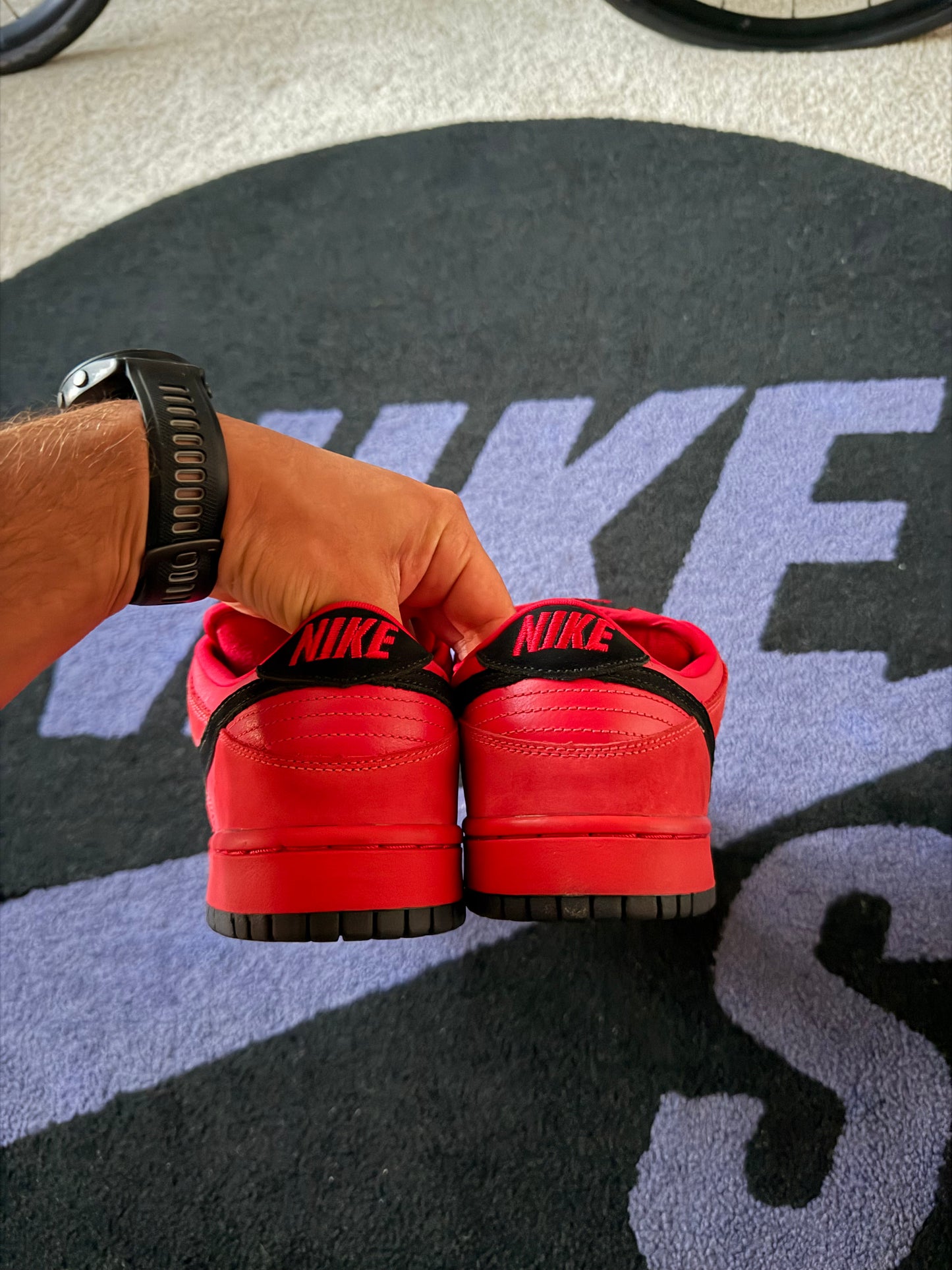 Size 9.5 - Nike Dunk Low Pro SB True Red