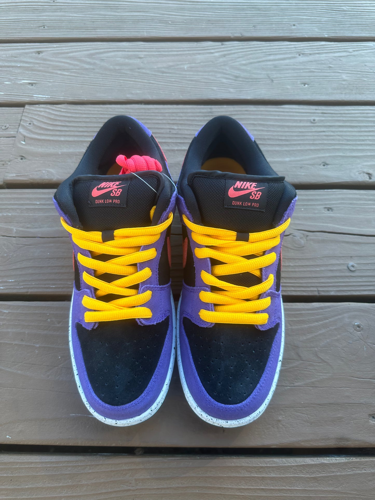 Size 9.5 - Nike Dunk Low Pro SB ACG Terra