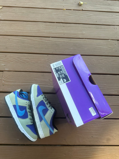 Size 9.5 - Nike Dunk Low Pro SB ACG Celadon