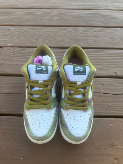 Size 9.5 - Nike Dunk Low Pro SB QS Alexis Sablone Chameleon