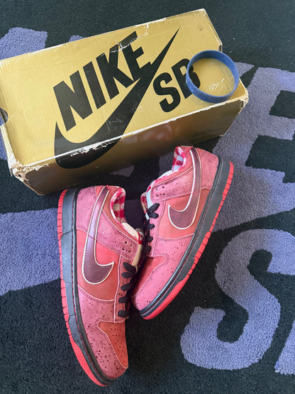Size 9 - Concepts x Nike SB Dunk Low Premium Red Lobster