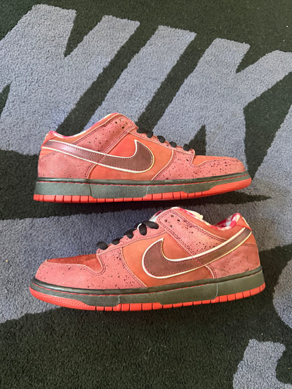 Size 9 - Concepts x Nike SB Dunk Low Premium Red Lobster