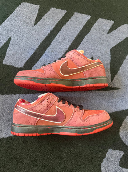 Size 9 - Concepts x Nike SB Dunk Low Premium Red Lobster