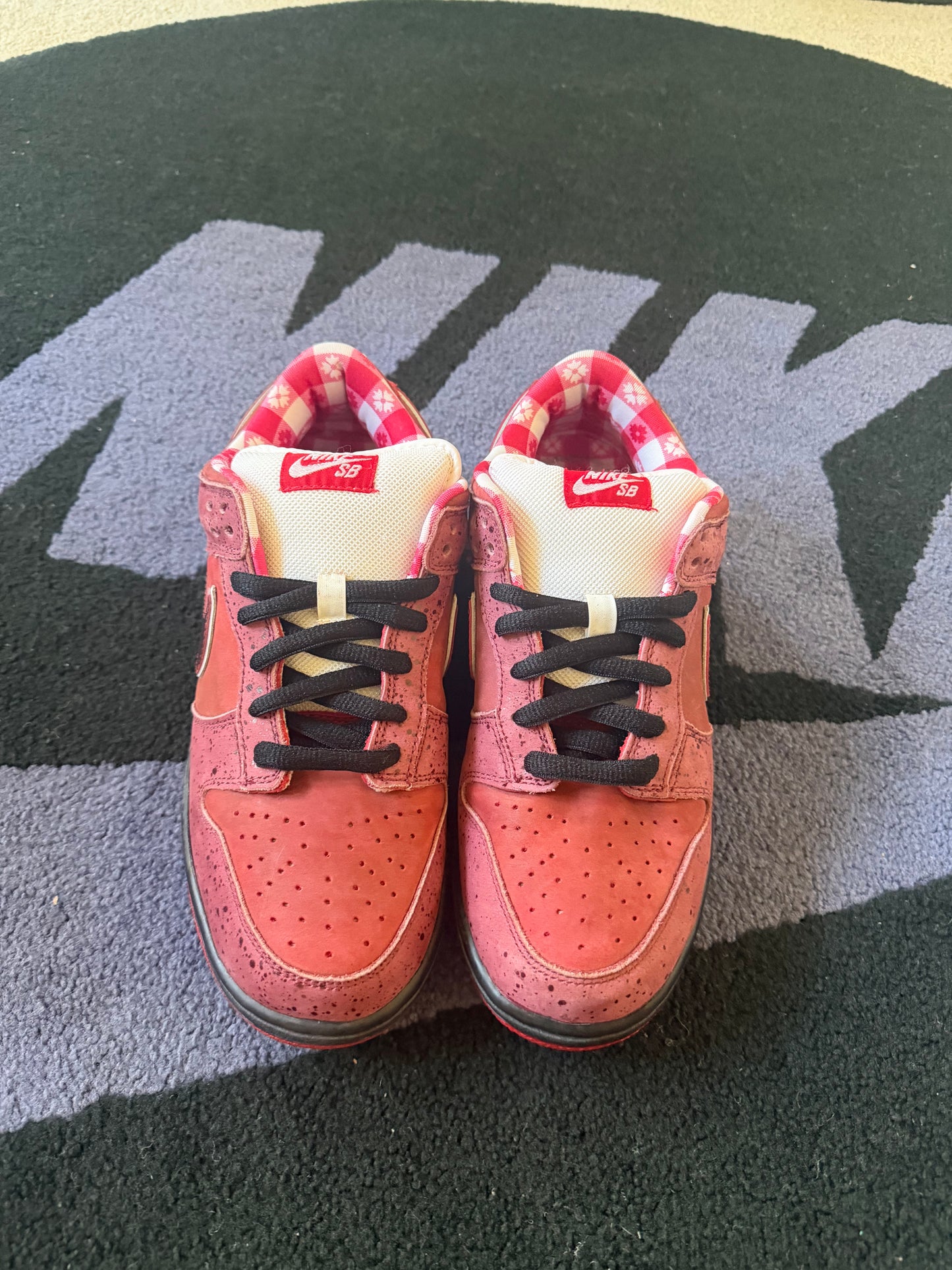 Size 9 - Concepts x Nike SB Dunk Low Premium Red Lobster