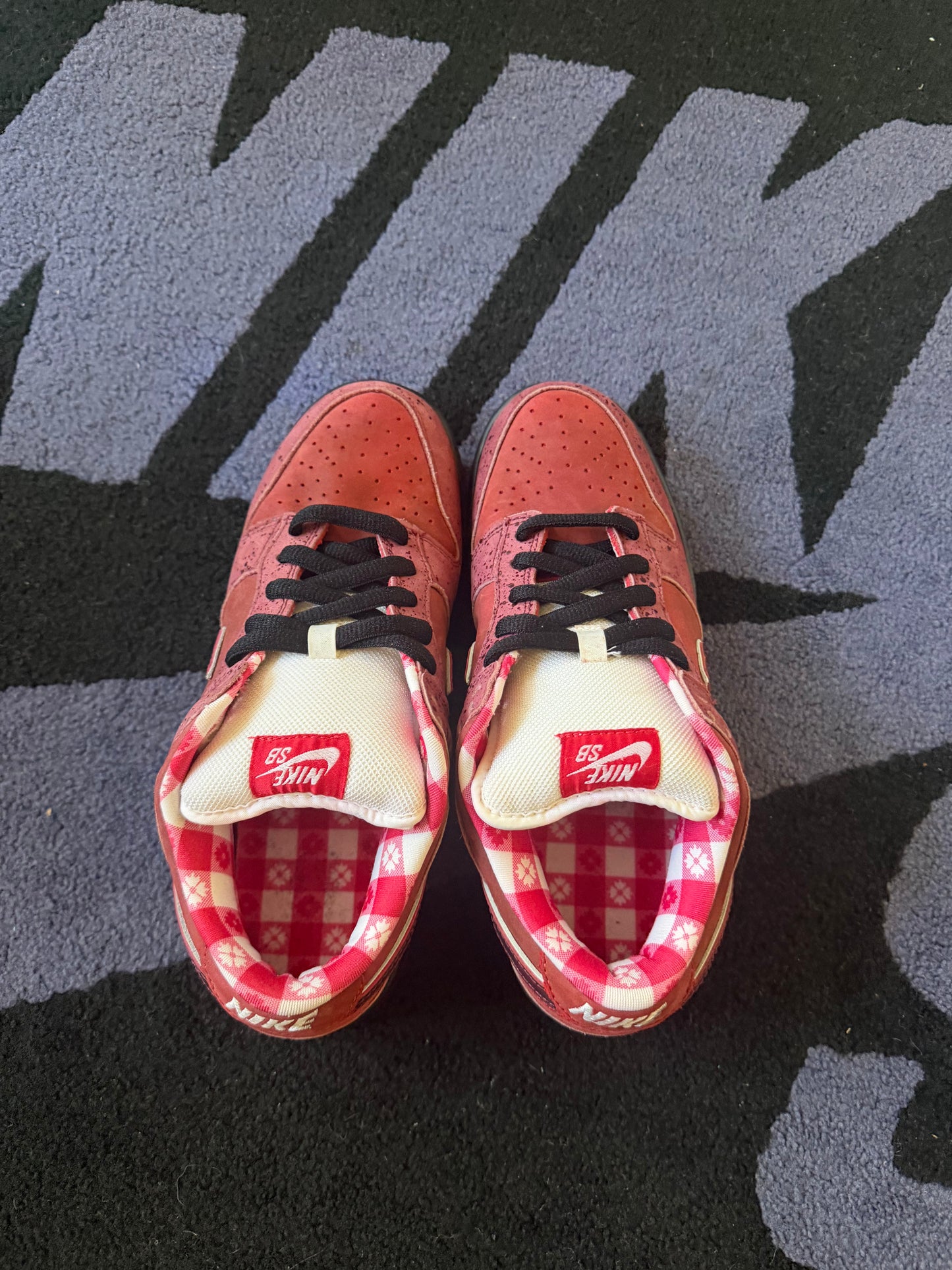 Size 9 - Concepts x Nike SB Dunk Low Premium Red Lobster