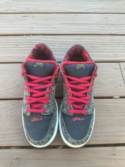 Size 10 - Nike Dunk Low Premium SB SBTG
