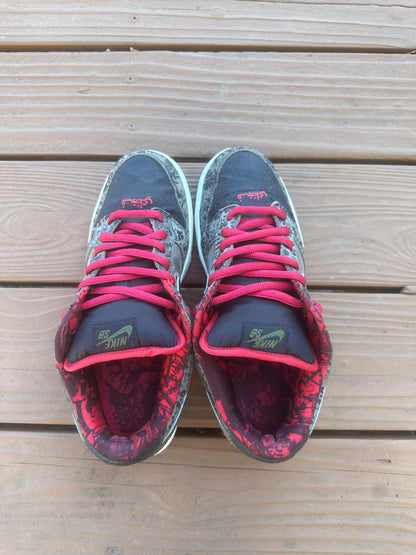 Size 10 - Nike Dunk Low Premium SB SBTG