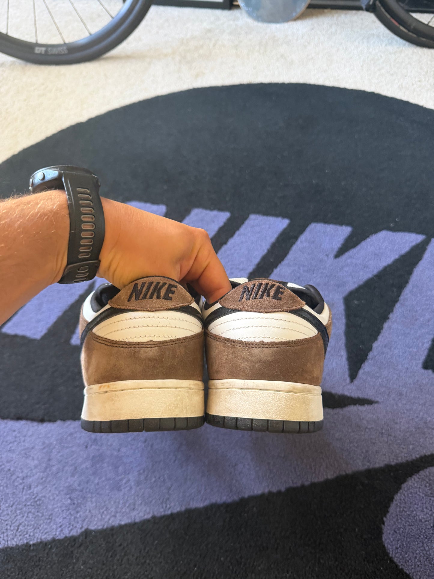 Size 11 - Nike Dunk Low Pro SB Trail