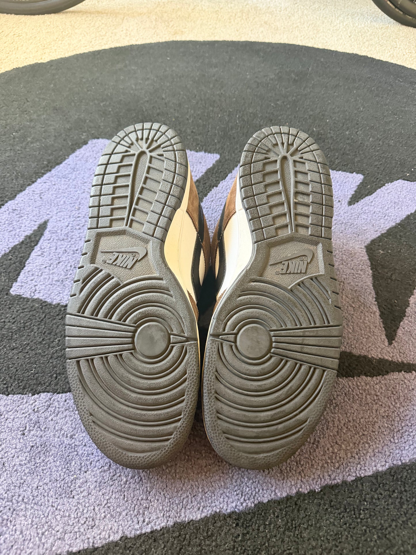 Size 11 - Nike Dunk Low Pro SB Trail