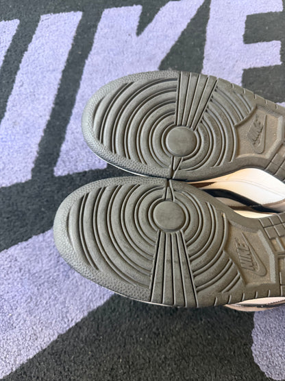 Size 11 - Nike Dunk Low Pro SB Trail