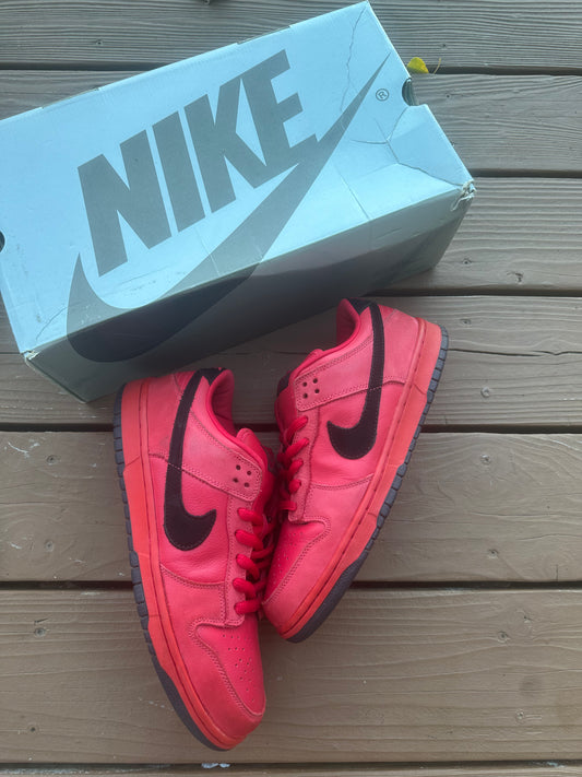 Size 10.5 - Nike Dunk Low Pro SB Pure Blood