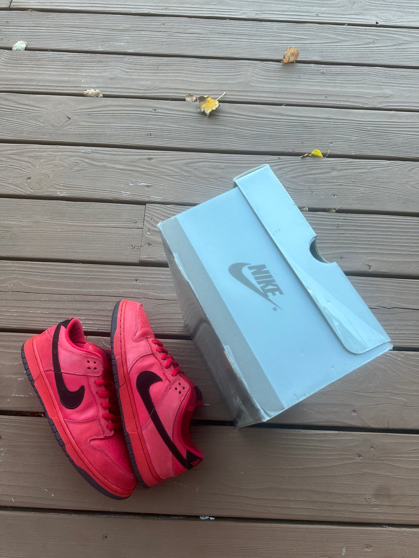 Size 10.5 - Nike Dunk Low Pro SB Pure Blood