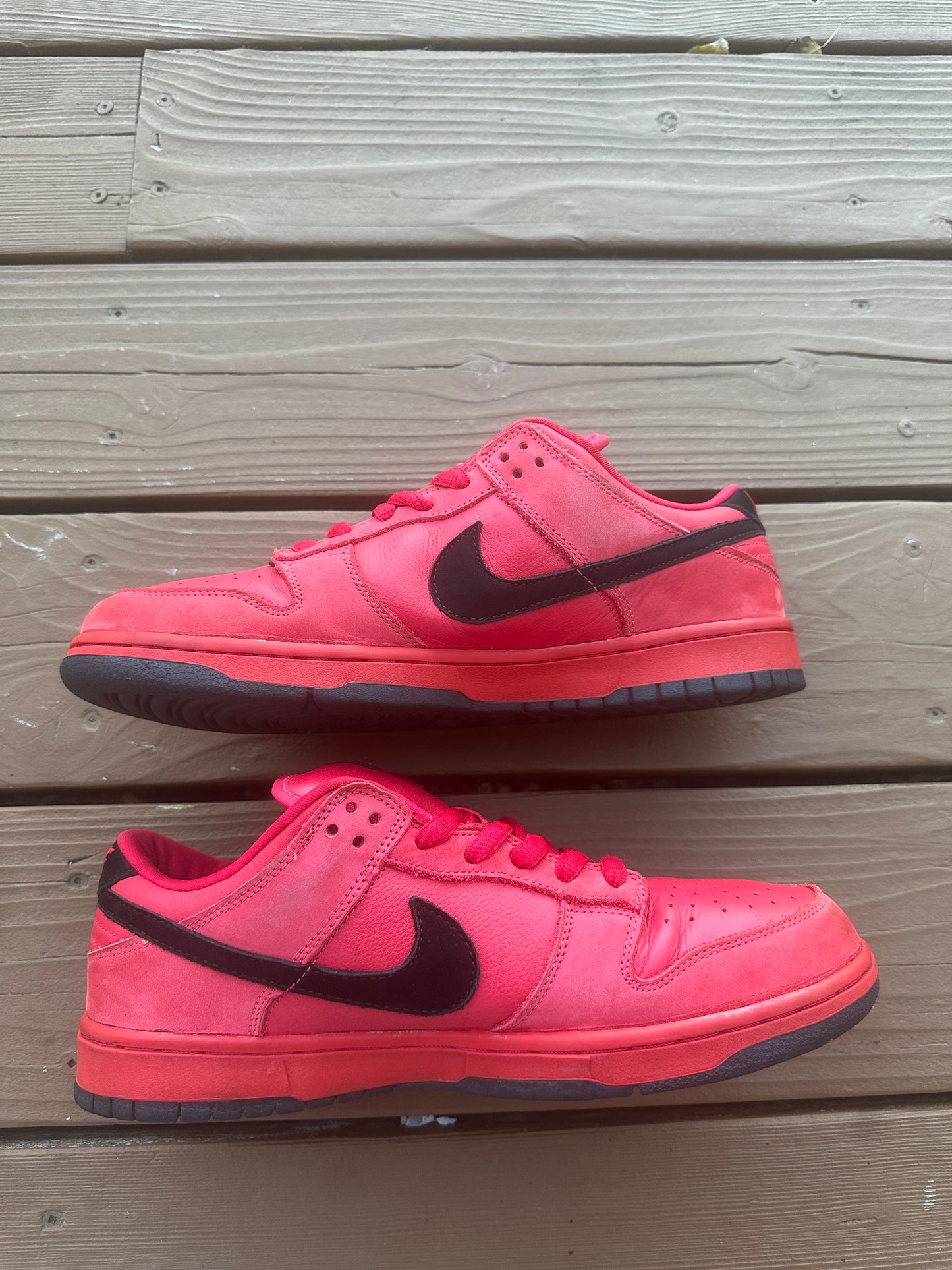 Size 10.5 - Nike Dunk Low Pro SB Pure Blood