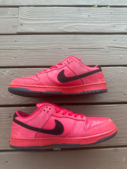 Size 10.5 - Nike Dunk Low Pro SB Pure Blood