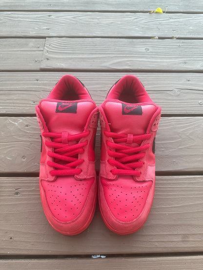 Size 10.5 - Nike Dunk Low Pro SB Pure Blood