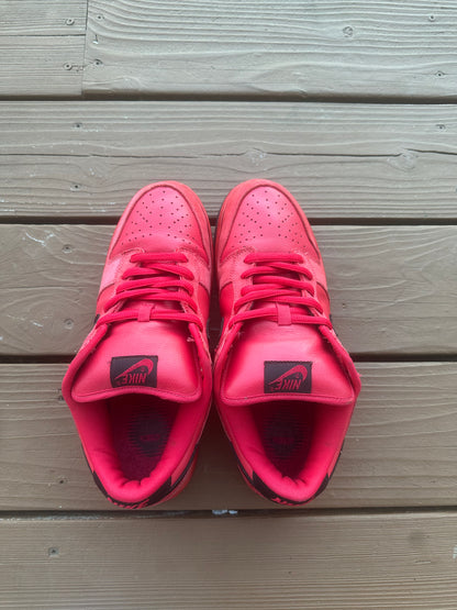 Size 10.5 - Nike Dunk Low Pro SB Pure Blood