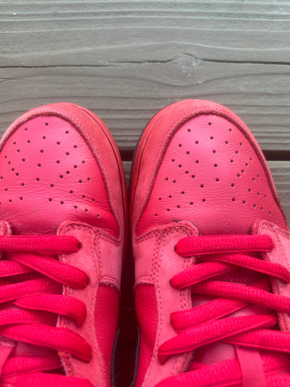 Size 10.5 - Nike Dunk Low Pro SB Pure Blood