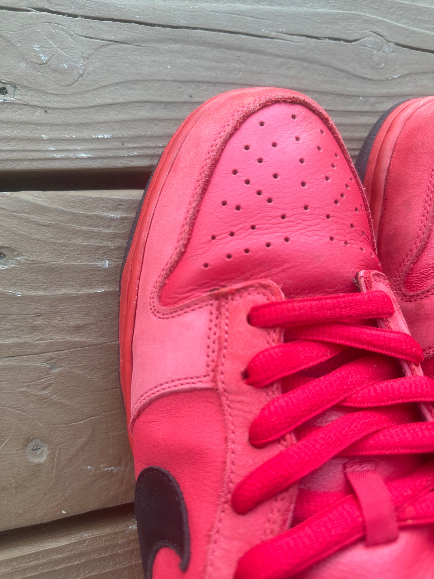 Size 10.5 - Nike Dunk Low Pro SB Pure Blood
