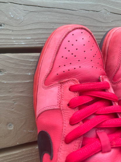 Size 10.5 - Nike Dunk Low Pro SB Pure Blood