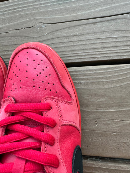 Size 10.5 - Nike Dunk Low Pro SB Pure Blood