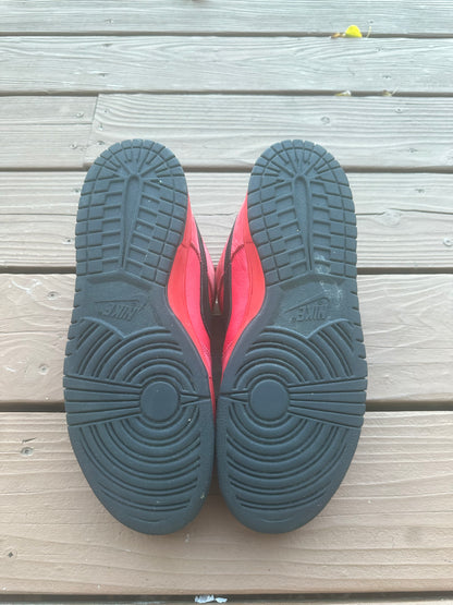 Size 10.5 - Nike Dunk Low Pro SB Pure Blood