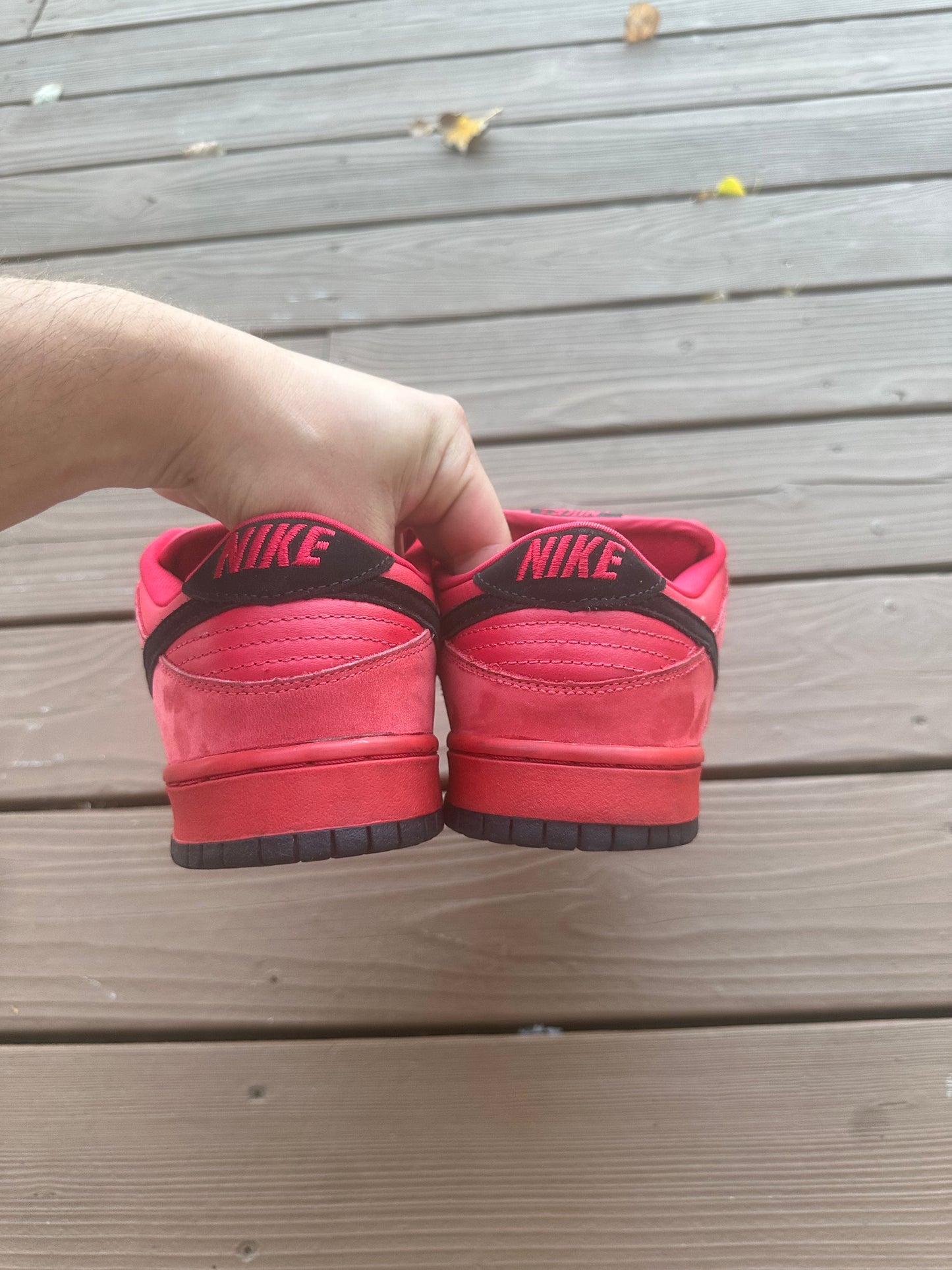 Size 10.5 - Nike Dunk Low Pro SB Pure Blood