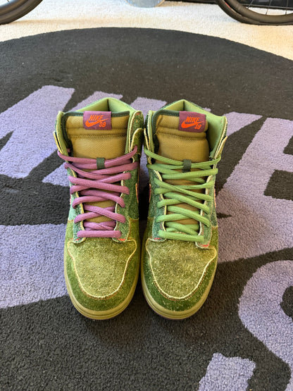 Size 10.5 - Nike Dunk High Premium SB Skunk