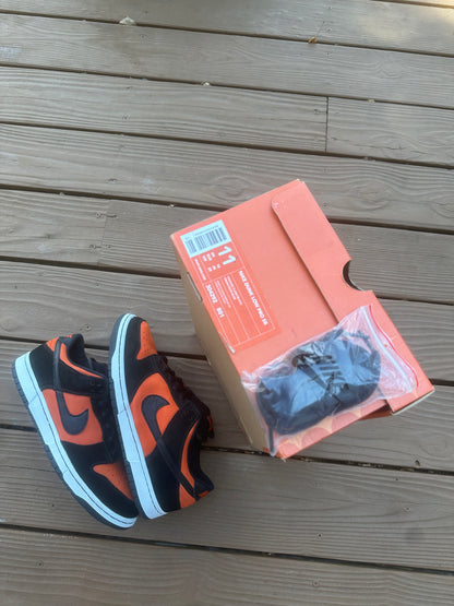 Size 11 - Nike Dunk Low Pro SB Flash