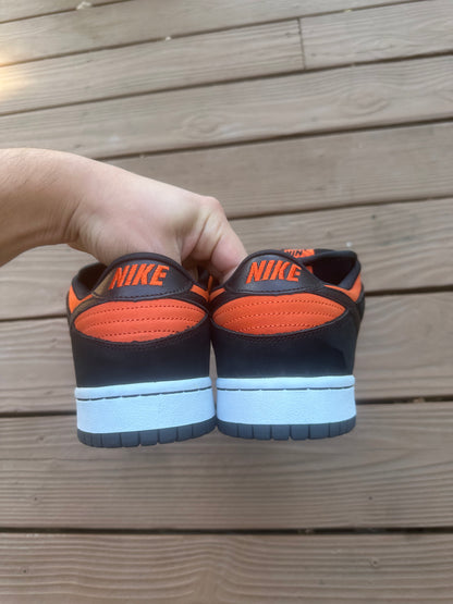 Size 11 - Nike Dunk Low Pro SB Flash